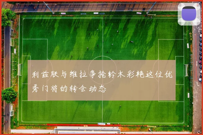 利兹联与维拉争抢铃木彩艳这位优秀门将的转会动态